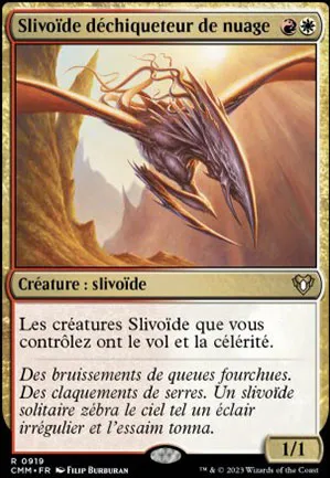 Slivoïde déchiqueteur de nuage