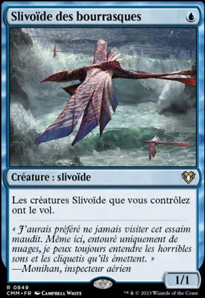 Slivoïde des bourrasques