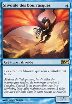 Slivoïde des bourrasques