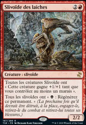 Slivoïde des laîches