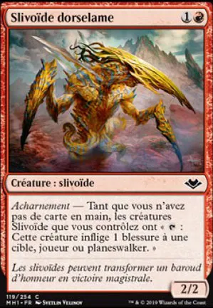 Slivoïde dorselame