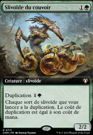 Slivoïde du couvoir