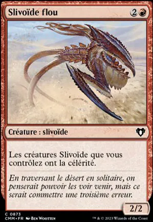 Slivoïde flou