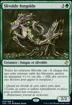 Slivoïde fongoïde