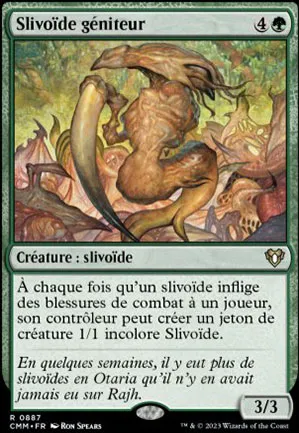 Slivoïde géniteur