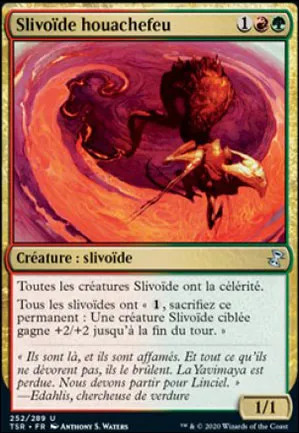Slivoïde houachefeu