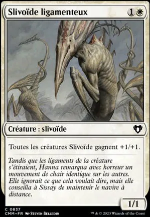 Slivoïde ligamenteux