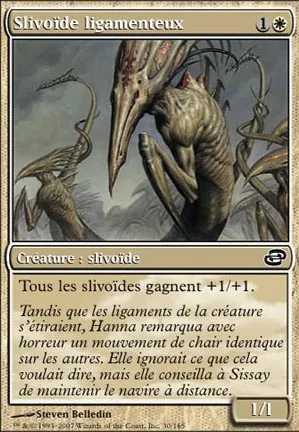 Slivoïde ligamenteux