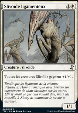 Slivoïde ligamenteux