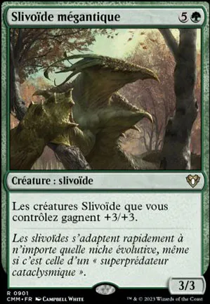 Slivoïde mégantique