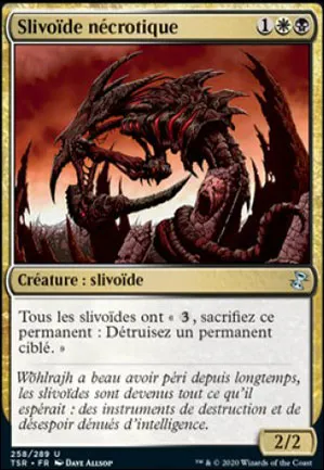 Slivoïde nécrotique