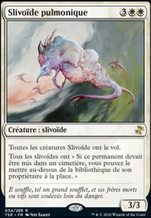 Slivoïde pulmonique