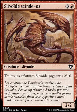 Slivoïde scinde-os