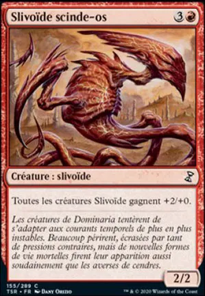 Slivoïde scinde-os