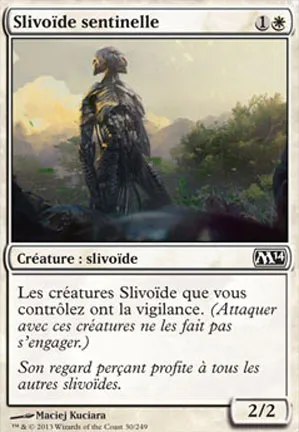 Slivoïde sentinelle