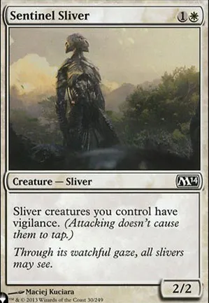 Slivoïde sentinelle