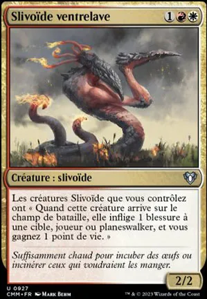 Slivoïde ventrelave