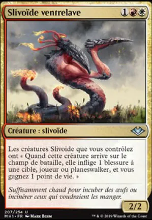 Slivoïde ventrelave