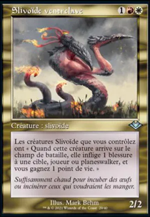 Slivoïde ventrelave