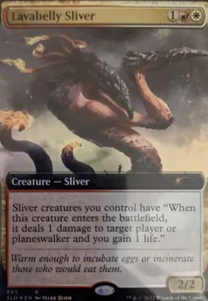 Slivoïde ventrelave
