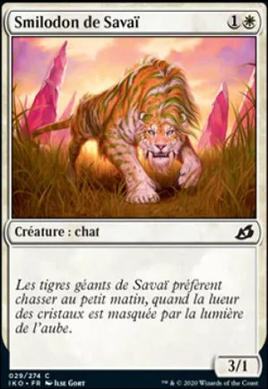 Smilodon de Savaï