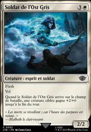 Soldat de l'Ost Gris