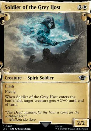 Soldat de l'Ost Gris