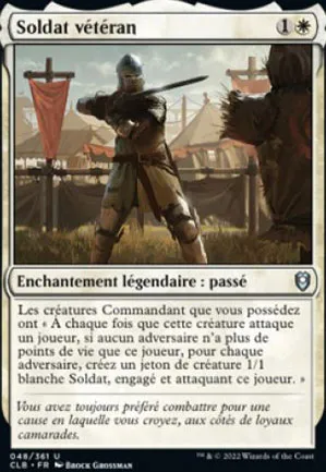 Soldat vétéran