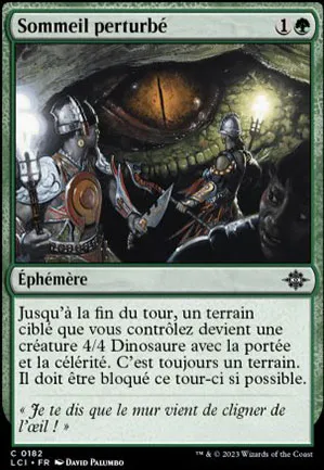 Sommeil perturbé
