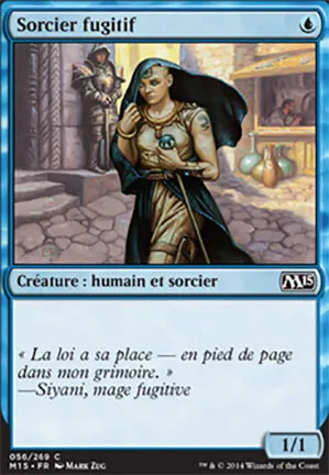 Sorcier fugitif