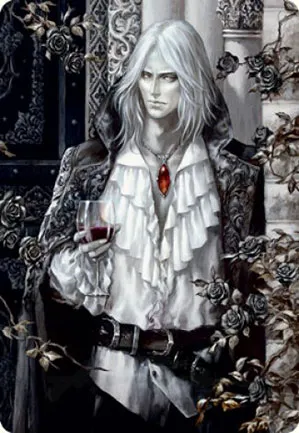 Sorin le morose - Illustration
