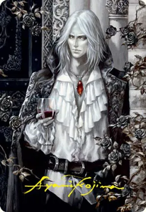 Sorin le morose - Illustration