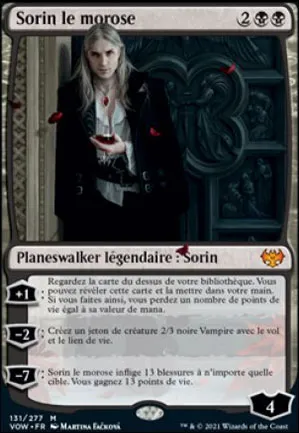 Sorin le morose