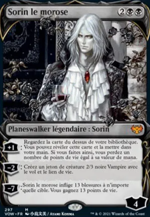 Sorin le morose