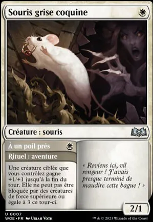 Souris grise coquine // À un poil pres