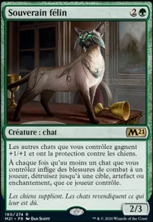 Souverain félin
