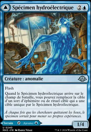 Spécimen hydroélectrique // Laboratoire hydroélectrique