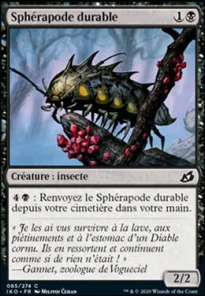 Sphérapode durable