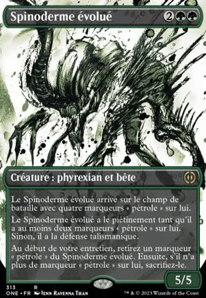 Spinoderme évolué