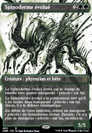 Spinoderme évolué