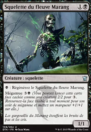Squelette du fleuve Marang