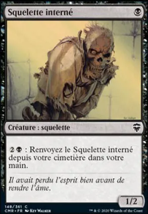 Squelette interné