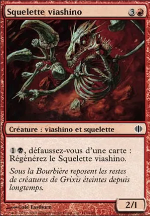 Squelette viashino