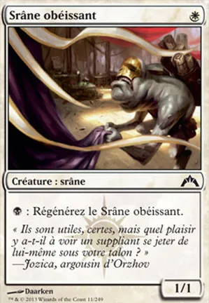 Srâne obéissant