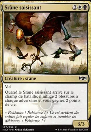 Srâne saisissant