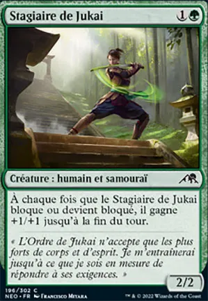 Stagiaire de Jukai