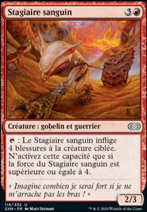 Stagiaire sanguin
