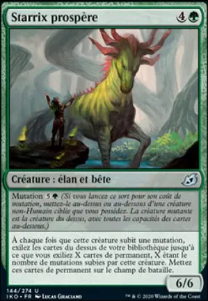 Starrix prospère