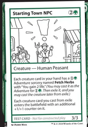 Starting Town NPC