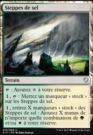 Steppes de sel